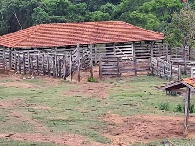 Sítio e chácara venda em Região Geográfica Imediata de Patos de Minas, Patos de Minas