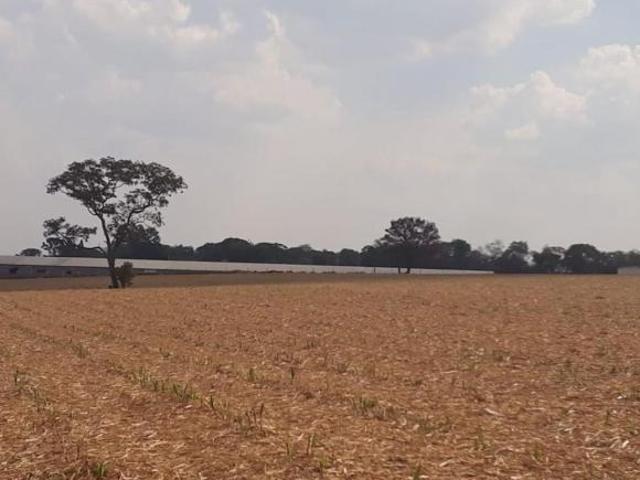 Sítio e chácara venda em Centro, Cesario Lange