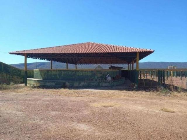 Sítio e chácara venda em Região Geográfica Imediata de Uruaçu - Niquelândia, Niquelândia