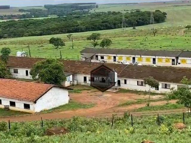 Sítio e chácara venda em Região Geográfica Imediata de Anápolis, Anápolis
