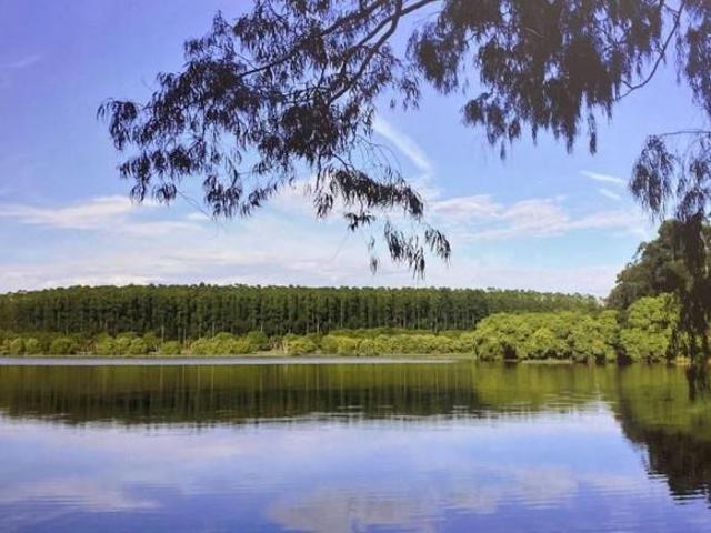 Sítio e chácara venda em Jardim Santo Antônio, Quadra