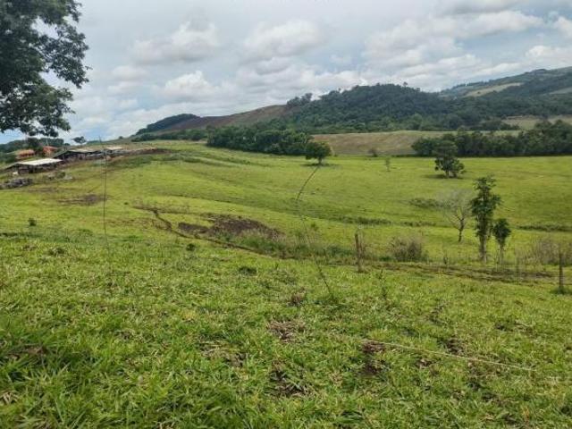 Sítio e chácara venda em Região Geográfica Imediata de Cornélio Procópio-Bandeirantes, Bandeirantes
