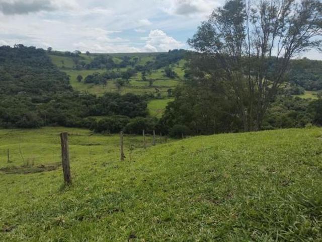 Sítio e chácara venda em Região Geográfica Imediata de Cornélio Procópio-Bandeirantes, Bandeirantes