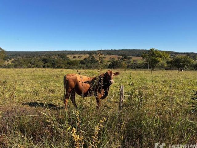 Sítio e chácara venda em Região Geográfica Imediata de Uberlândia, Campina Verde