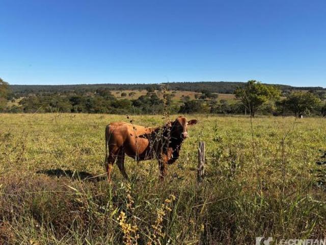 Sítio e chácara venda em Região Geográfica Imediata de Uberlândia, Campina Verde