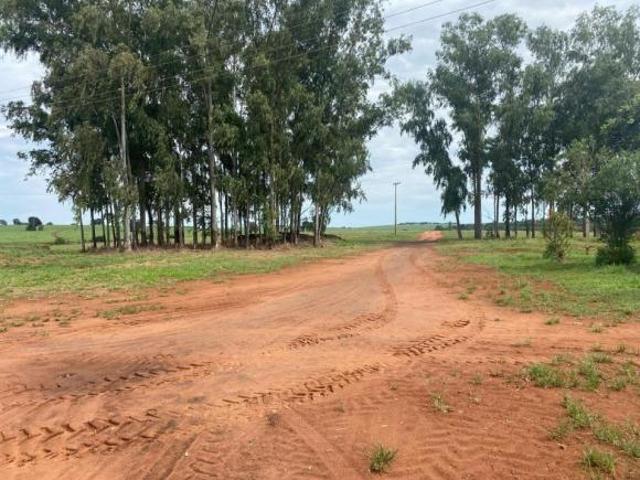 Sítio e chácara venda em Região Imediata de Assis, Cândido Mota