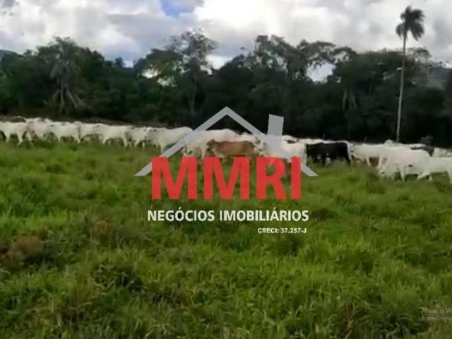 Sítio e chácara venda em Região Geográfica Imediata de Goiás - Itapuranga, Goiás