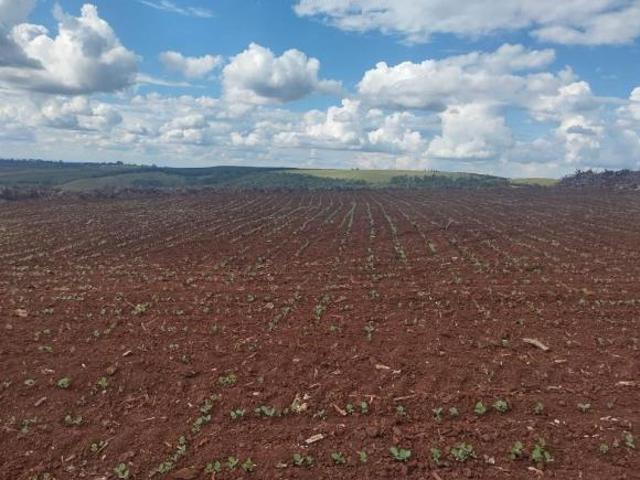 Sítio e chácara venda em Região Geográfica Imediata de Santo Antônio da Platina, Guapirama