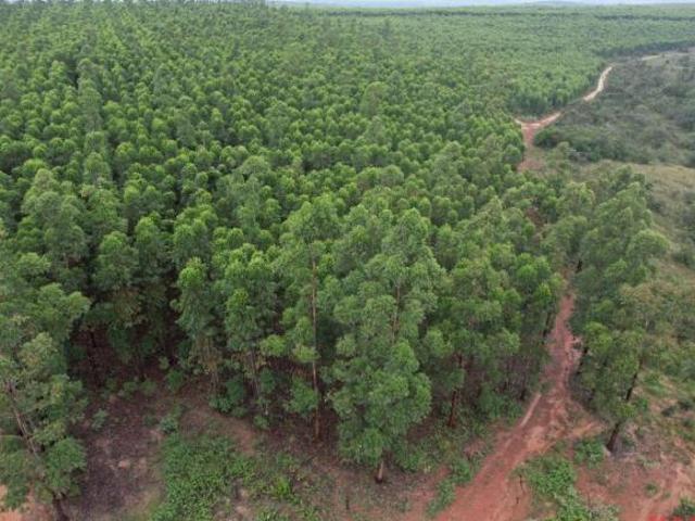 Sítio e chácara venda em Região Geográfica Imediata de Patos de Minas, João Pinheiro
