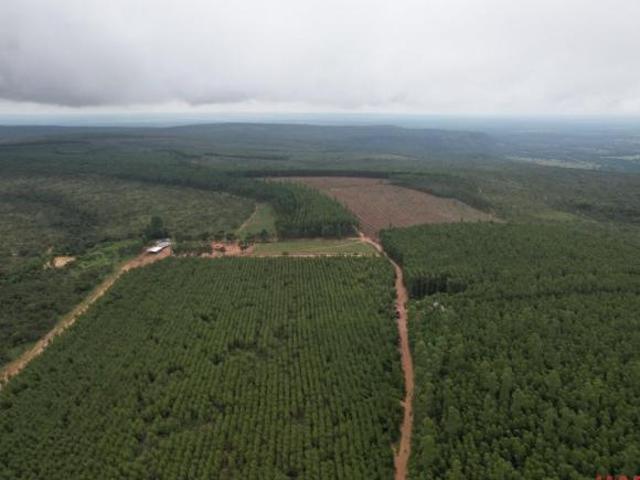 Sítio e chácara venda em Região Geográfica Imediata de Patos de Minas, João Pinheiro