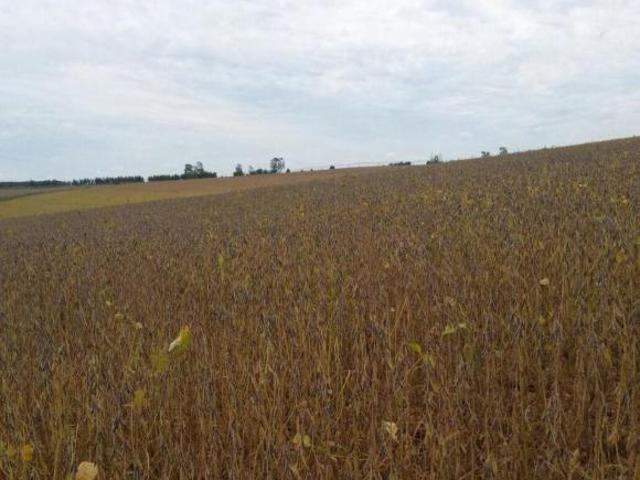 Sítio e chácara venda em Nova Jumirim, Jumirim