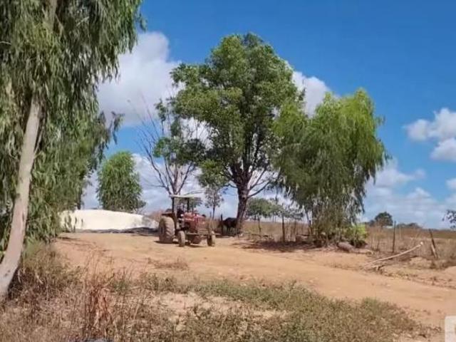 Sítio e chácara venda em Região Geográfica Imediata de Patos de Minas, Lagoa Grande