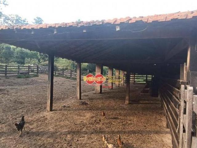 Sítio e chácara venda em Campo Grande, São Paulo