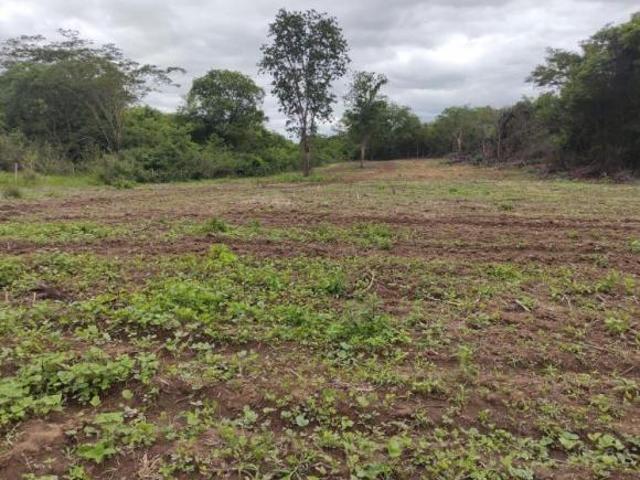 Sítio e chácara venda em Região Geográfica Imediata de Curvelo, Santo Hipólito