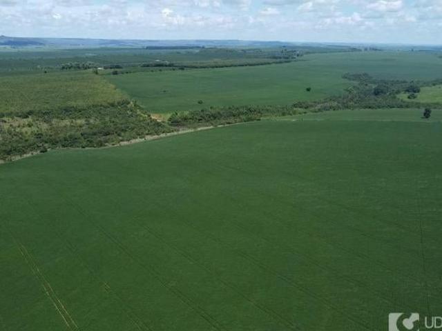 Sítio e chácara venda em Região Geográfica Imediata de Patrocínio, Serra do Salitre