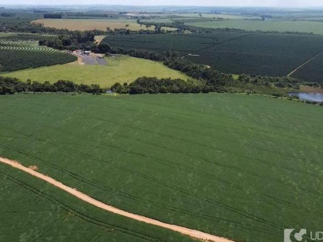 Sítio e chácara venda em Região Geográfica Imediata de Patrocínio, Serra do Salitre