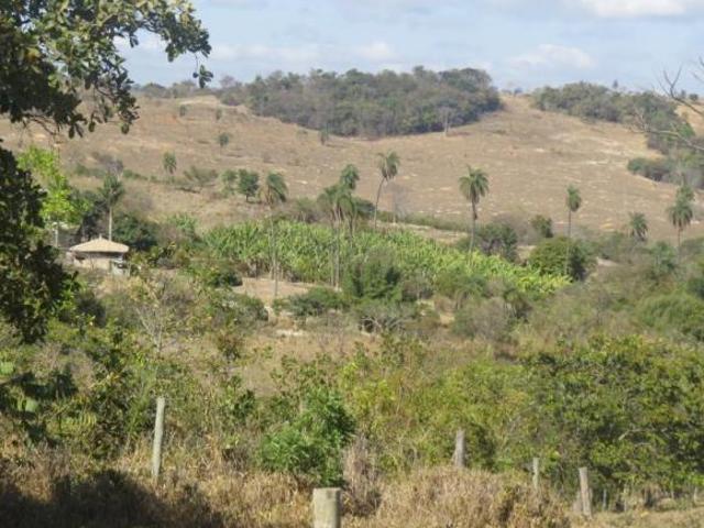 Sítio e chácara venda em Região Geográfica Imediata de Belo Horizonte, Região Metropolitana de Belo Horizonte