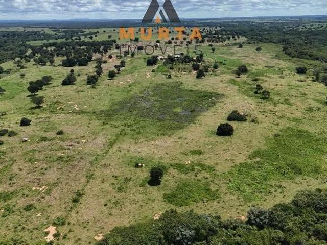Sítio e chácara venda em Região Geográfica Imediata de Janaúba, Verdelândia