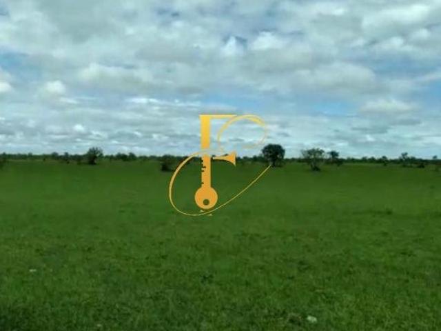 Sítio e chácara venda em Região Geográfica Imediata de Confresa - Vila Rica, São Felix do Araguaia