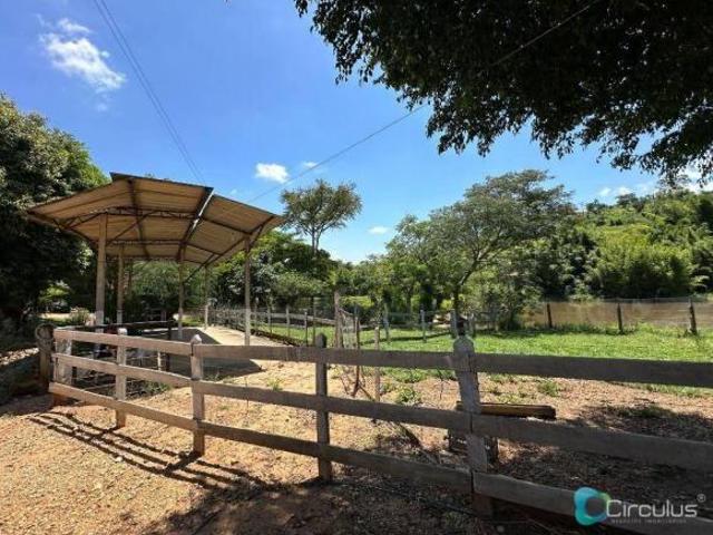 Sítio e chácara venda em Região Imediata de São José do Rio Pardo-Mococa, São José do Rio Pardo