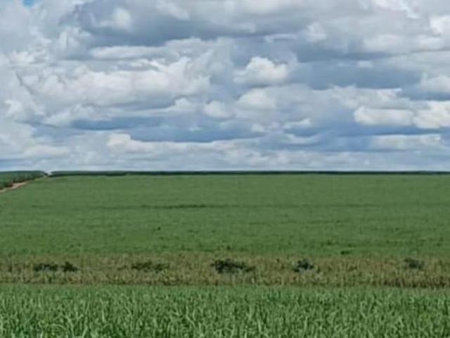 Sítio e chácara venda em Região Imediata de São José do Rio Preto, Região Metropolitana de São José do Rio Preto