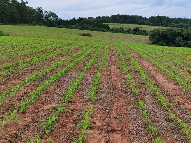 Sítio e chácara venda em Região Imediata de Itapetininga, Região Metropolitana de Sorocaba