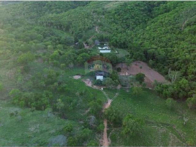 Sítio e chácara venda em Região Geográfica Imediata de Águas Lindas de Goiás, Região Integrada de Desenvolvimento do Distrito Federal e Entorno