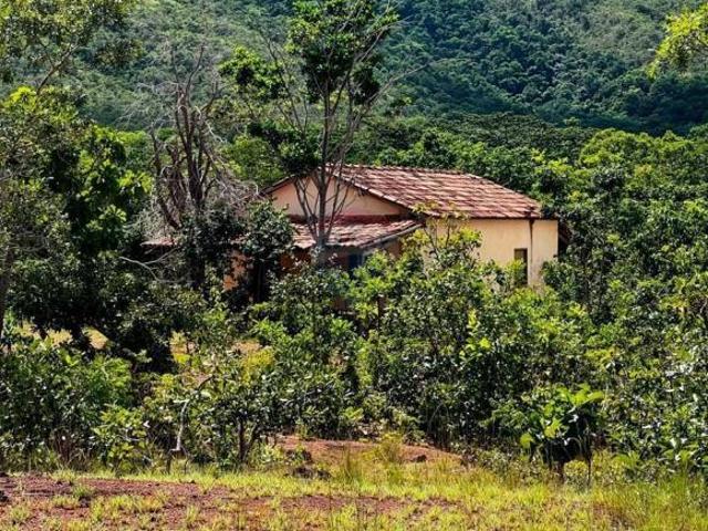 Sítio e chácara venda em Região Geográfica Imediata de Unaí, Região Integrada de Desenvolvimento do Distrito Federal e Entorno