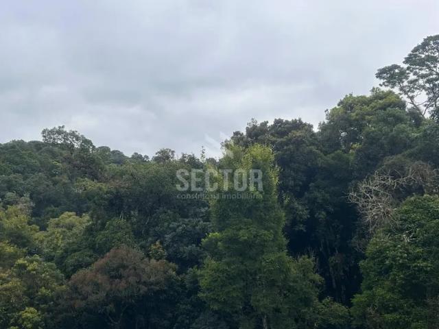 Fazenda venda em Região Geográfica Imediata de Curitiba, Região Metropolitana de Curitiba