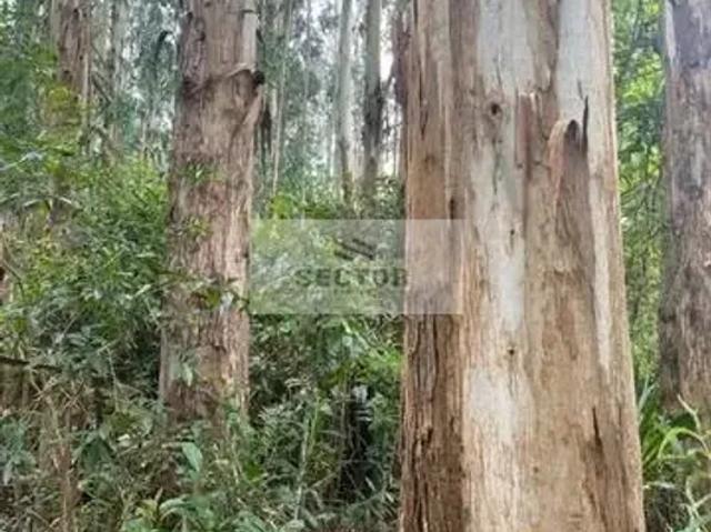 Fazenda venda em Região Geográfica Imediata de Curitiba, Região Metropolitana de Curitiba