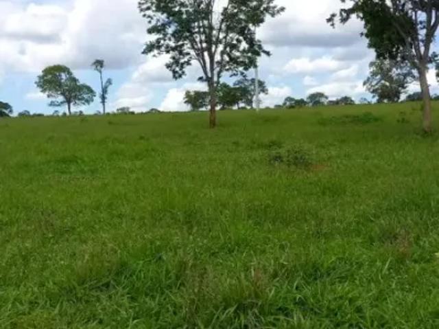 Fazenda venda em Região Geográfica Imediata de Curvelo, Felixlândia