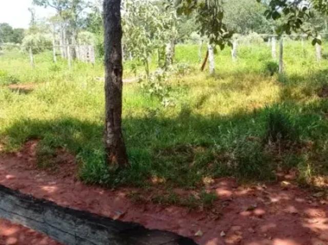 Fazenda venda em Região Geográfica Imediata de Curvelo, Felixlândia