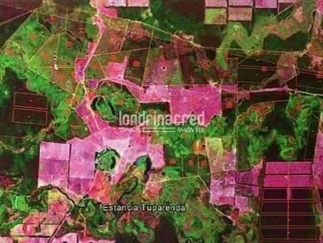 Sítio e chácara venda em Região Geográfica Imediata de Foz do Iguaçu, Foz do Iguaçu