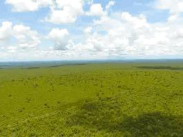 Sítio e chácara venda em Santa Fé de Minas, Região Geográfica Intermediária de Montes Claros