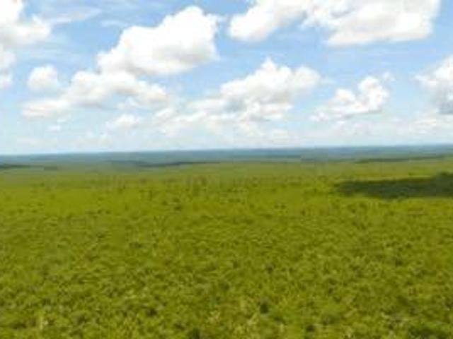 Sítio e chácara venda em Região Geográfica Imediata de Pirapora, Santa Fé de Minas