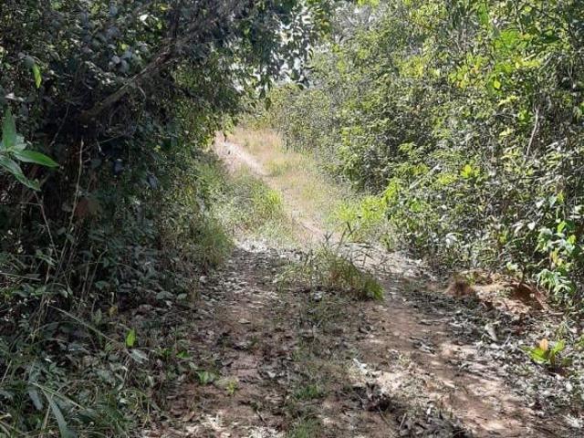 Sítio e chácara venda em Região Geográfica Imediata de Sorriso, Santa Rita do Trivelato
