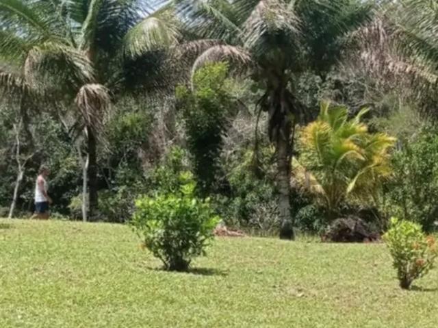 Fazenda venda em Região Geográfica Imediata de Ilhéus – Itabuna, Buerarema