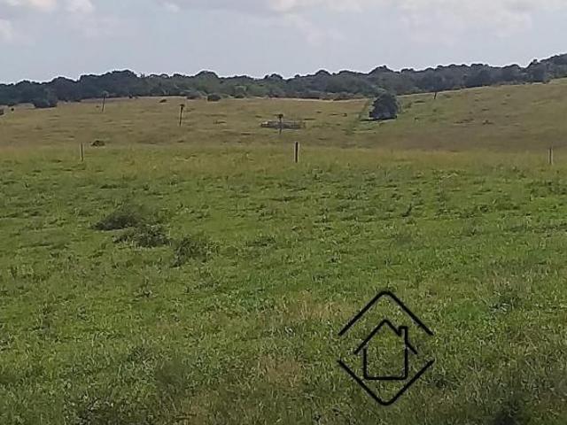 Sítio e chácara venda em Região Geográfica Imediata de Porto Alegre, Região Metropolitana de Porto Alegre