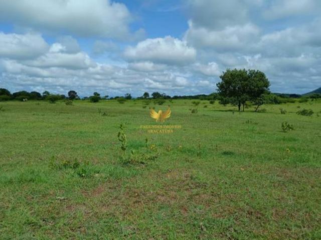 Sítio e chácara venda em Região Geográfica Imediata de Três Lagoas, Selviria