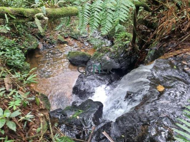 Sítio e chácara venda em Região Geográfica Imediata de Barbacena, Barbacena