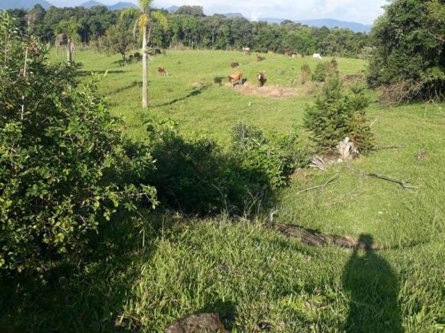 Sítio e chácara venda em Região Geográfica Imediata de Torres, Aglomeração Urbana do Litoral Norte