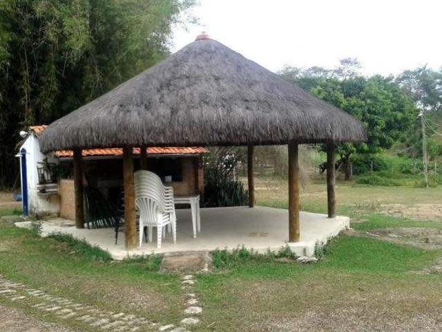 Sítio e chácara venda em Santa Luzia
