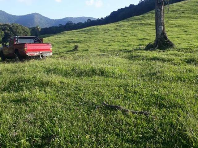 Sítio e chácara venda em Região Geográfica Imediata de Torres, Aglomeração Urbana do Litoral Norte