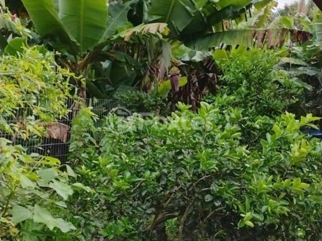 Sítio e chácara venda em Restinga, Porto Alegre