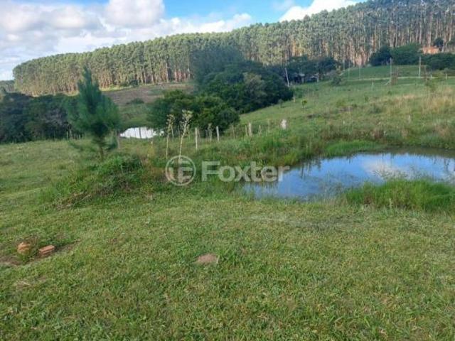 Sítio e chácara venda em Região Geográfica Imediata de Porto Alegre, Região Metropolitana de Porto Alegre