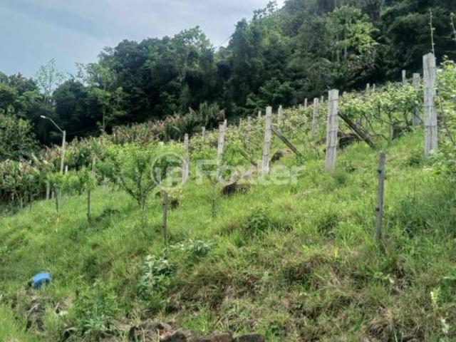 Sítio e chácara venda em Região Geográfica Imediata de Taquara - Parobé - Igrejinha, Três Coroas