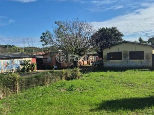 Sítio e chácara venda em Região Geográfica Imediata de Porto Alegre, Região Metropolitana de Porto Alegre