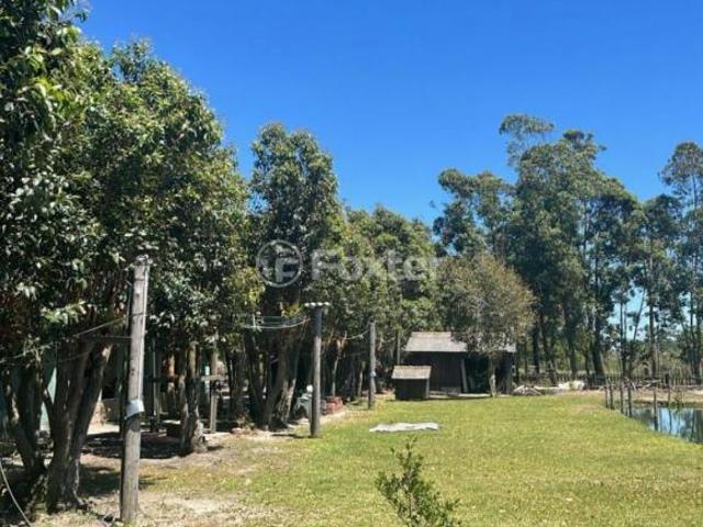 Sítio e chácara venda em Região Geográfica Imediata de Frederico Westphalen, Pinhal