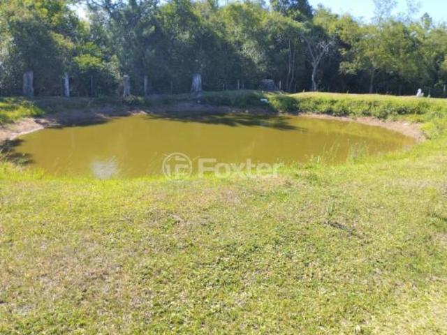 Sítio e chácara venda em Região Geográfica Imediata de Porto Alegre, Região Metropolitana de Porto Alegre