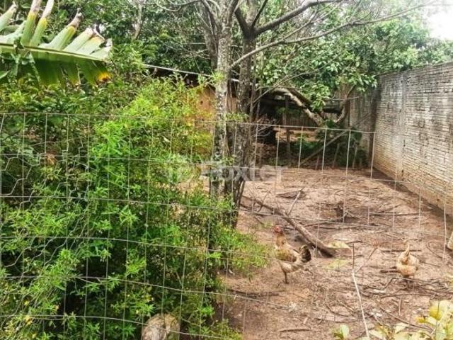 Sítio e chácara venda em Região Geográfica Imediata de Araranguá, São João do Sul